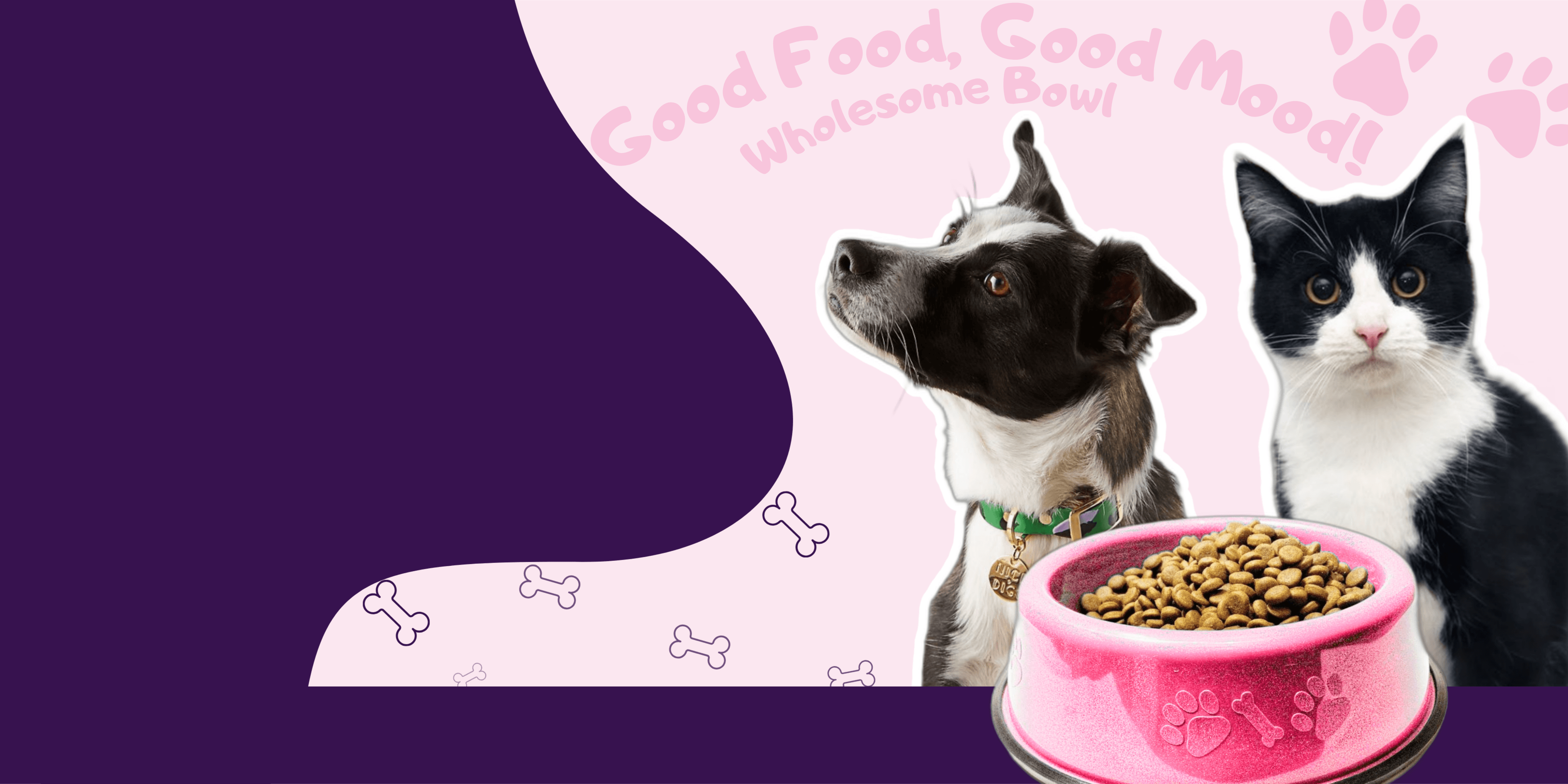 Pet care desktop background